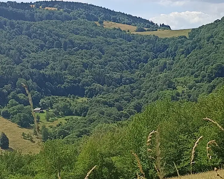 Prodej pozemku 42844 m², Lopeník – náhled fotky 3