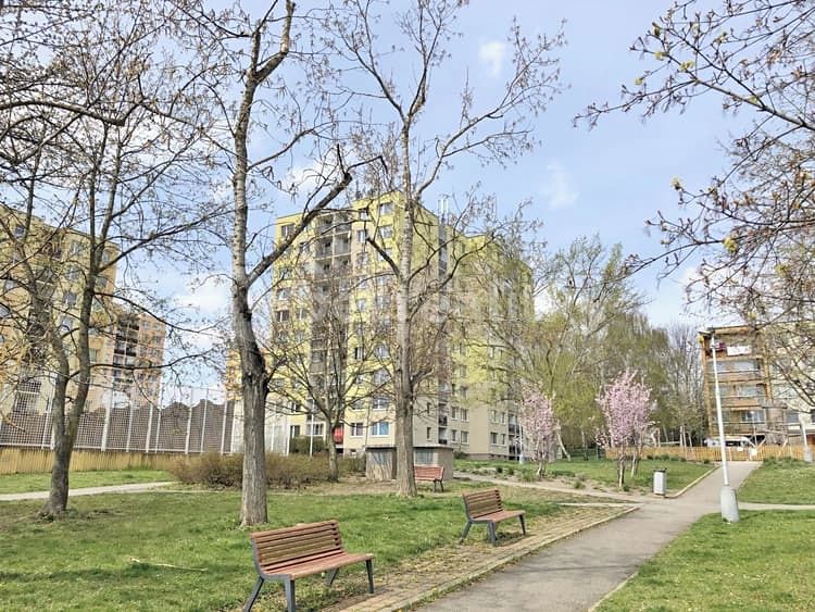 Pronájem bytu 3+kk 65 m²