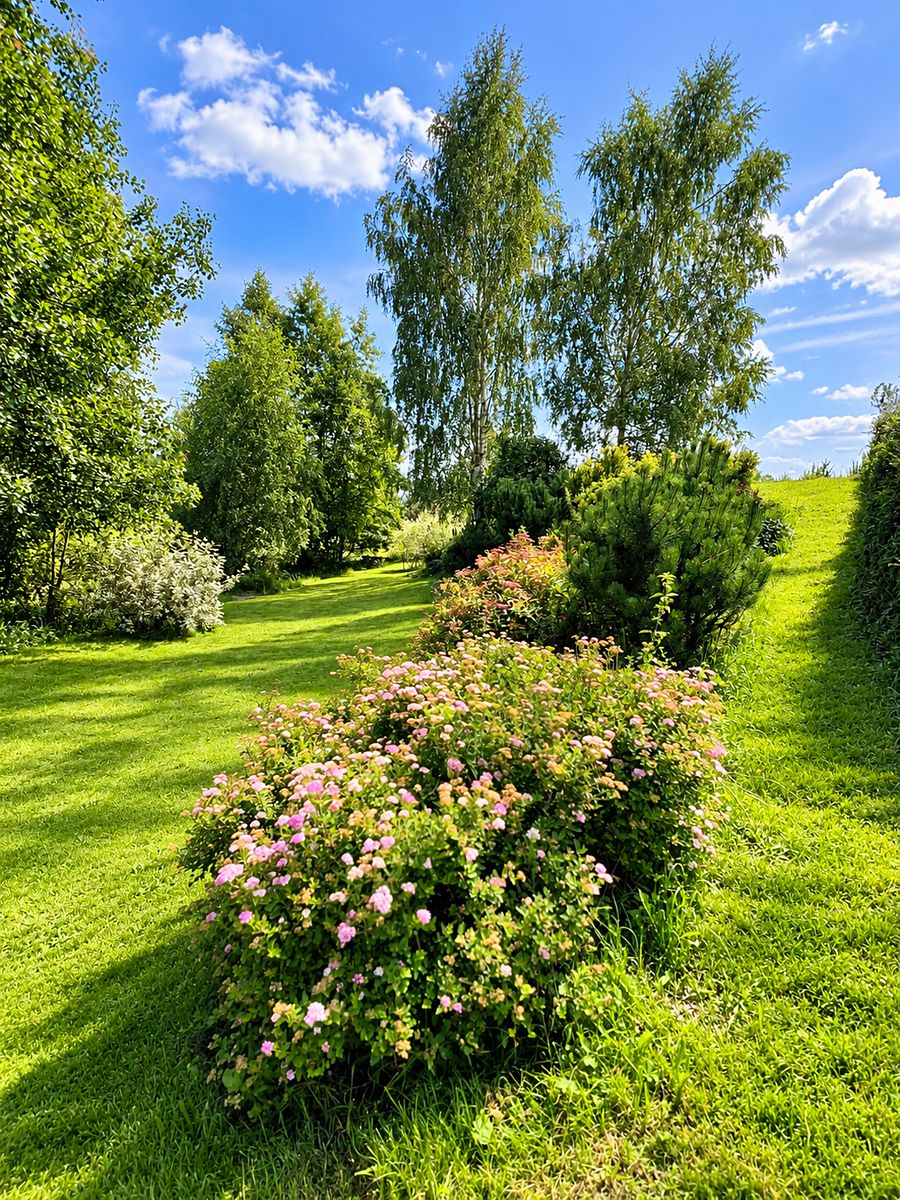 Prodej chaty 16 m², pozemek 1705 m² – fotografie 5