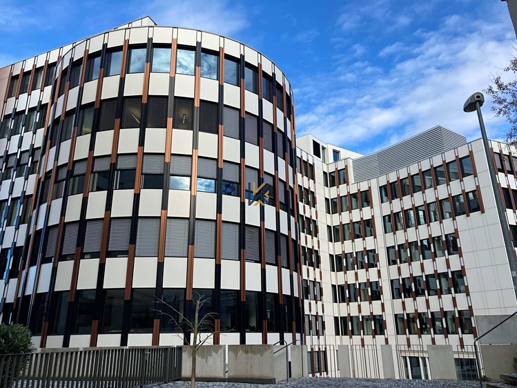 Комерційне приміщення в оренду, 537 м² (4 з 4)
