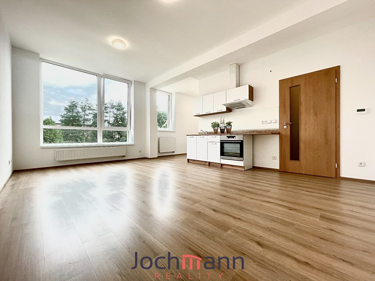 Pronájem bytu 1+kk, 38 m² (1 z 12)