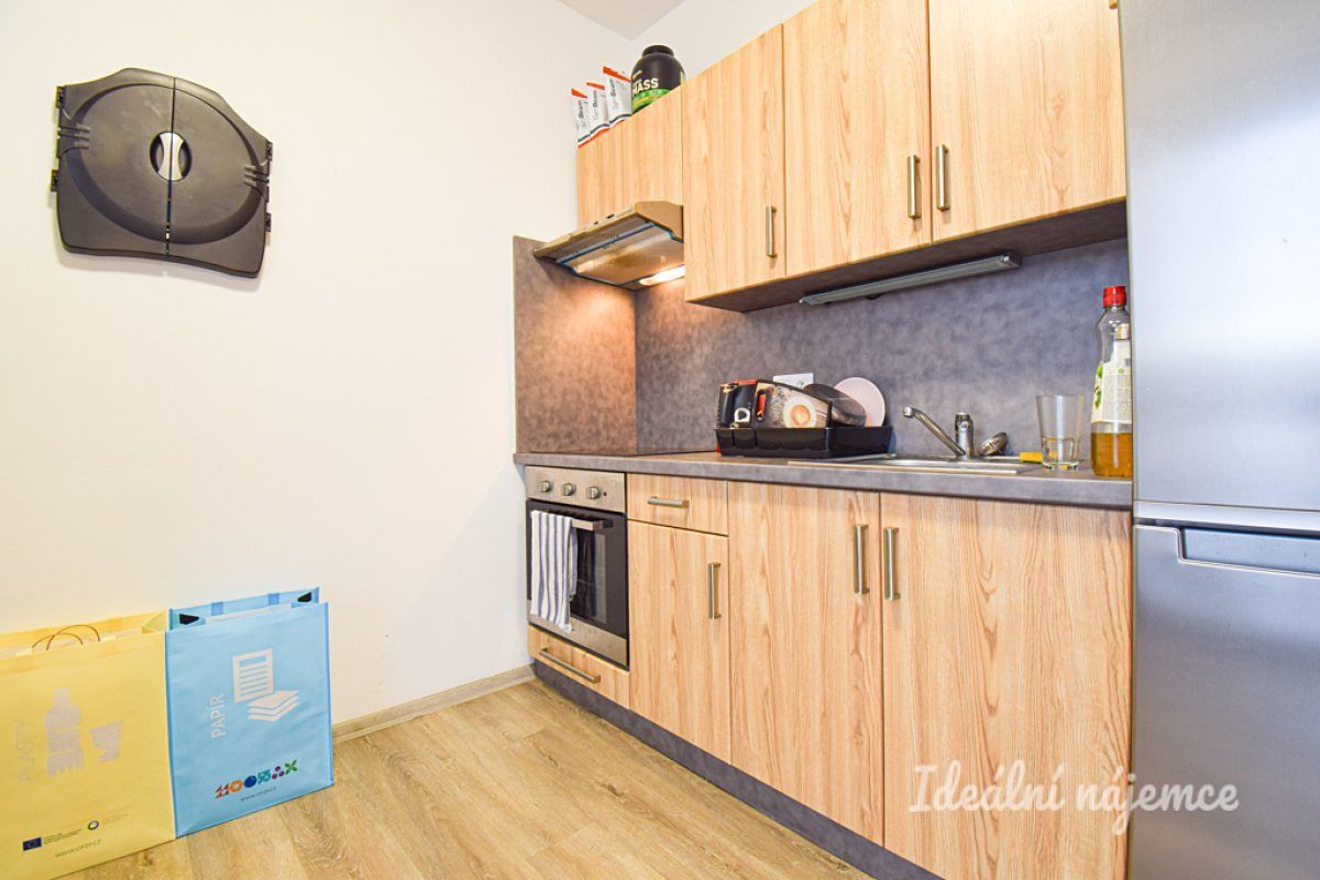 Pronájem bytu 1+kk 33 m²
