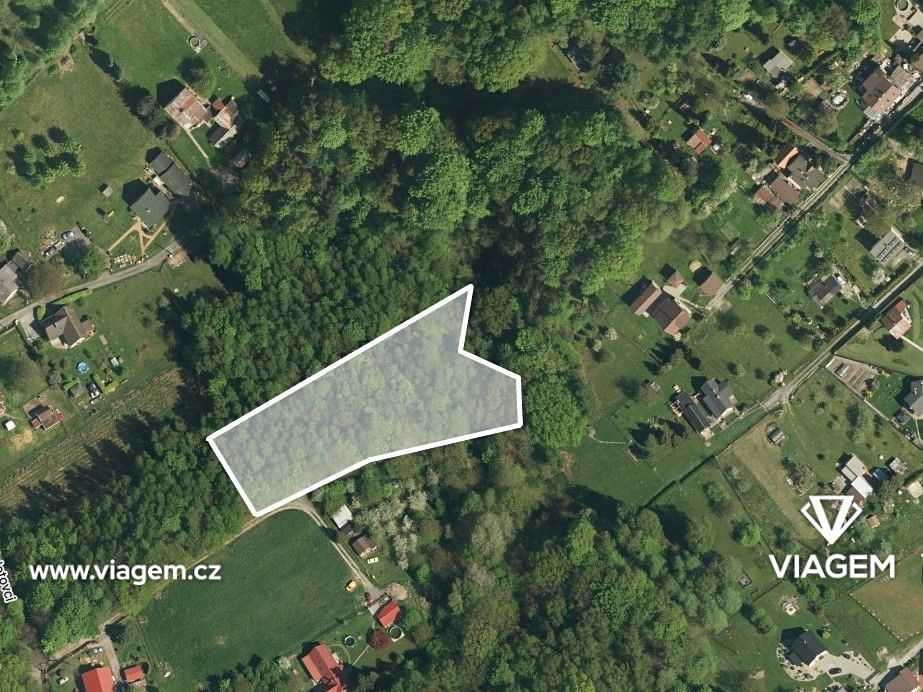 Prodej lesa 4764 m²