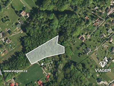 Prodej lesa 4764 m²