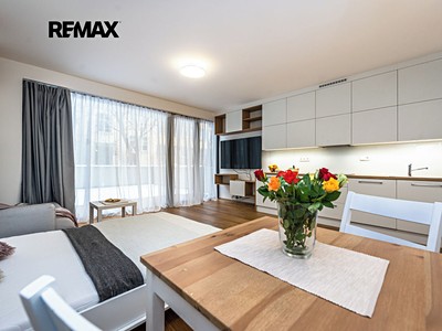 Pronájem bytu 1+kk 45 m²