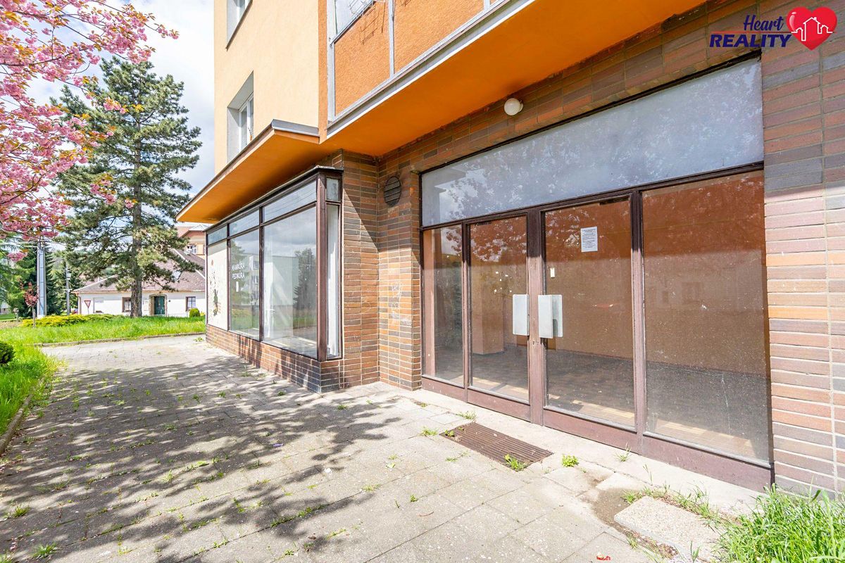 Prodej obchodního prostoru 116 m² – fotografie 3