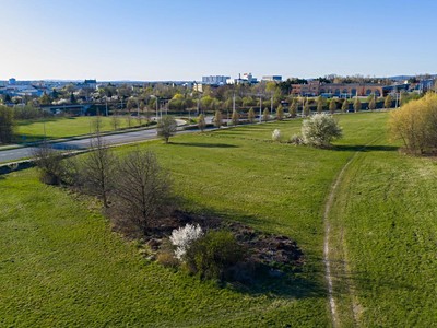 Prodej pozemku, 11 468 m² (3 z 11)