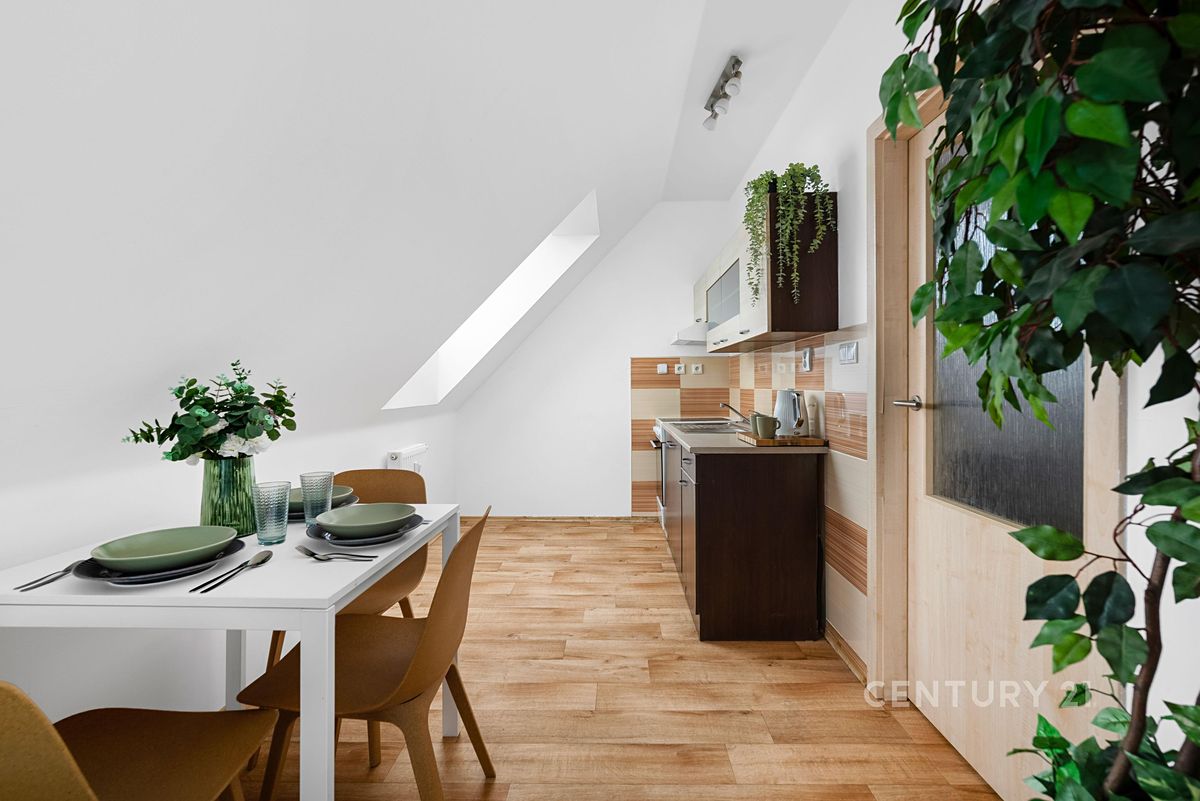 Pronájem bytu 3+kk 58 m² – fotografie 4