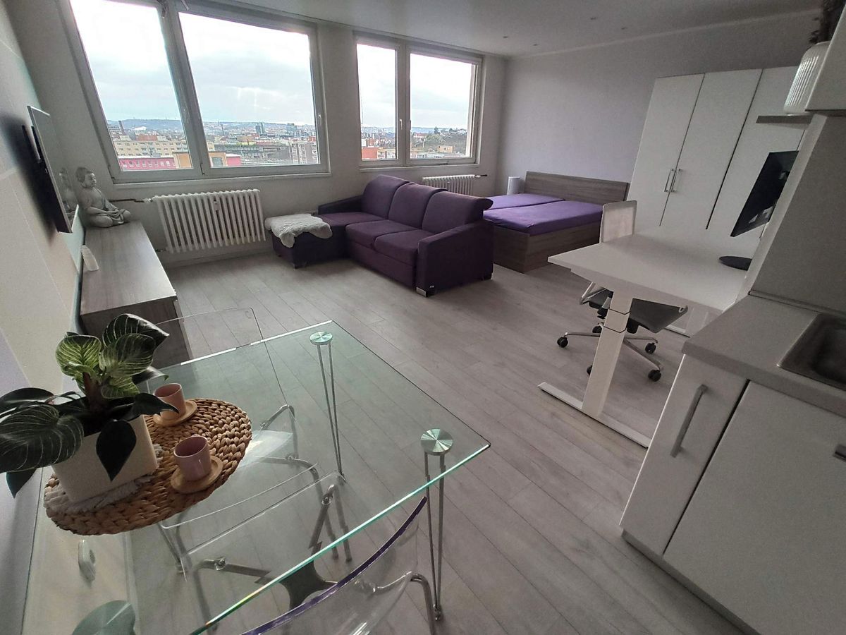 Pronájem bytu 1+kk 39 m²
