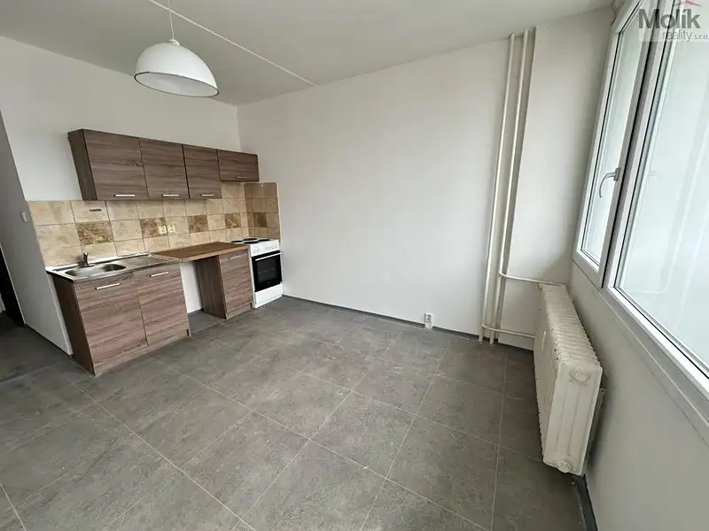 Pronájem bytu 1+kk 21 m², M. G. Dobnera, Most