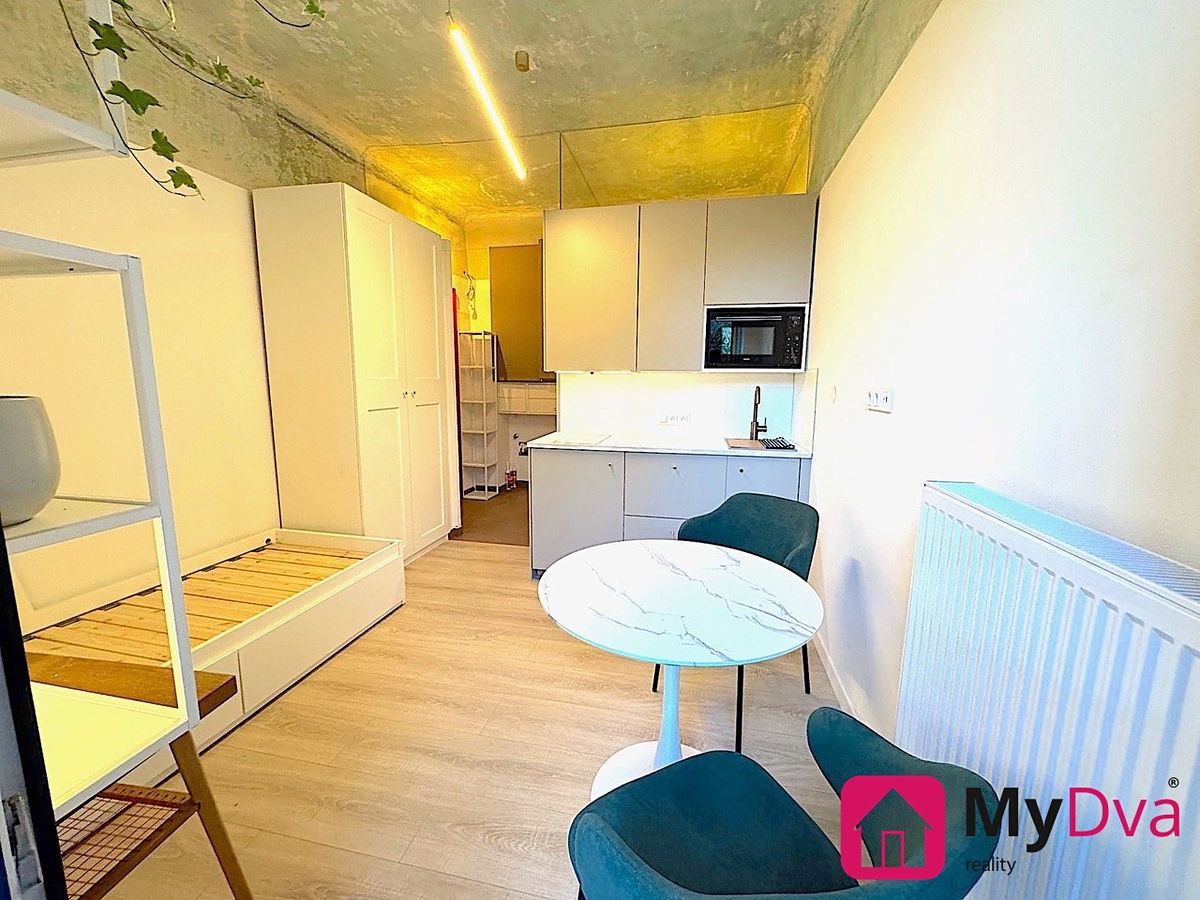 Pronájem bytu 1+kk 17 m² – fotografie 3