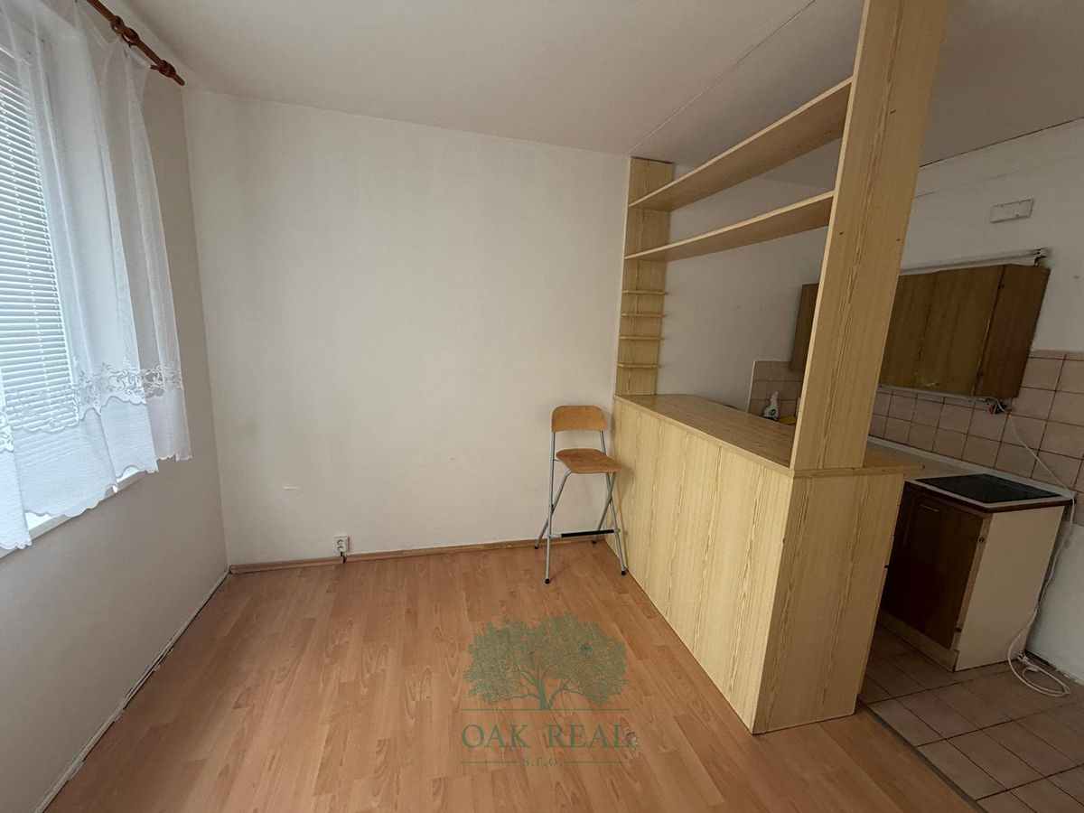 Pronájem bytu 1+kk 20 m² – fotografie 4