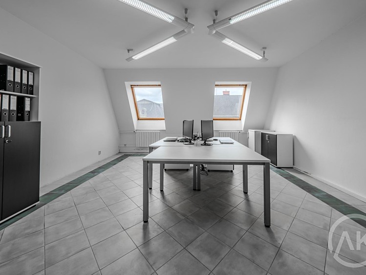 Pronájem komerčního prostoru, 29 m² (2 z 9)