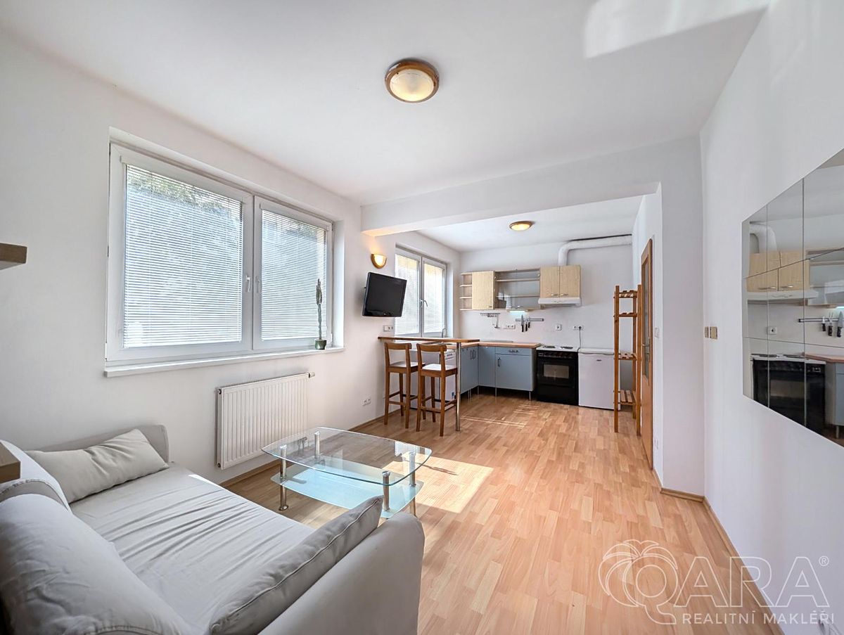 Pronájem bytu 1+kk 38 m²
