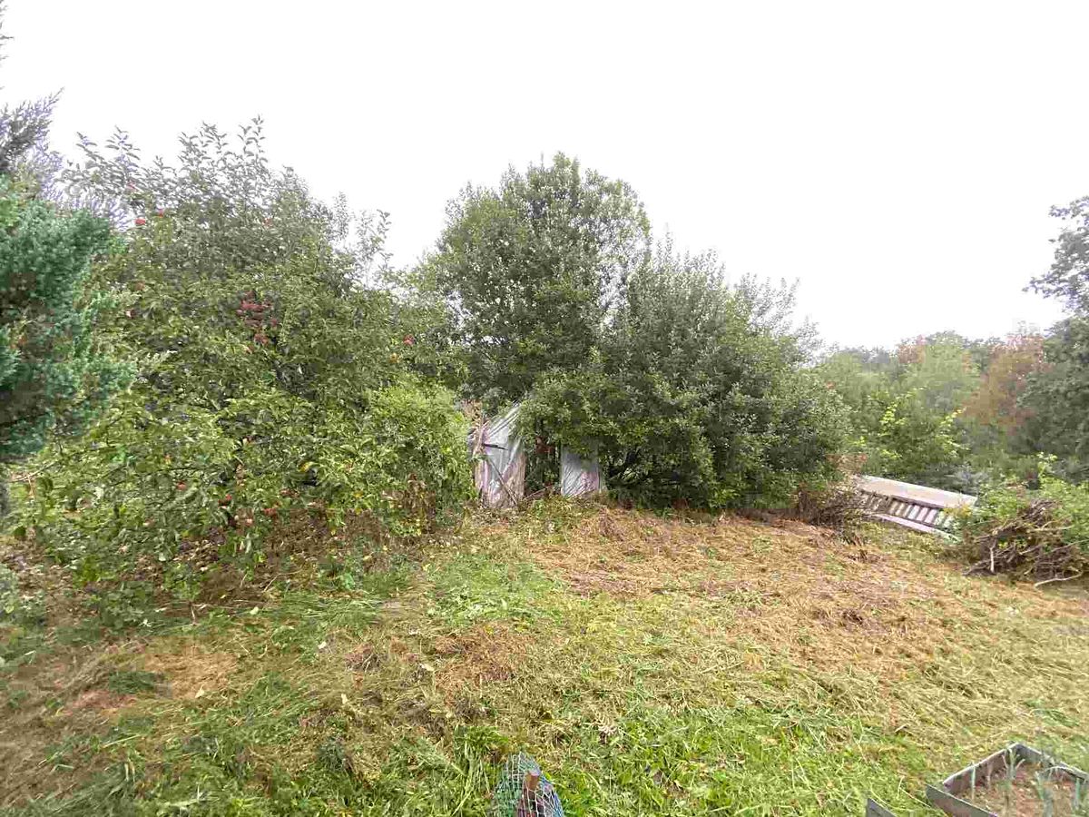 Prodej zahrady 194 m² – fotografie 2