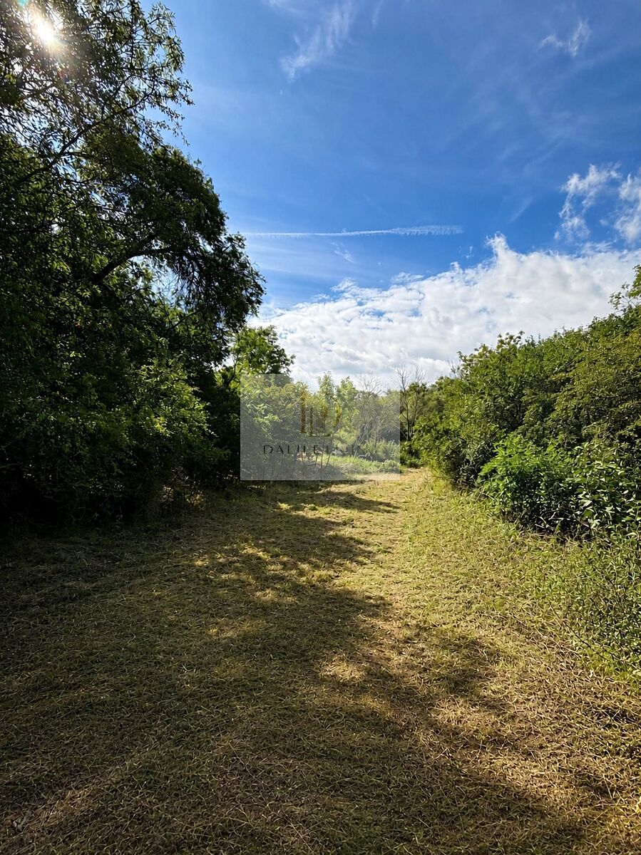 Prodej stavebního pozemku 1591 m² – fotografie 3