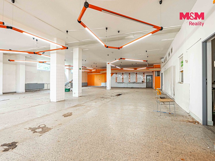 Prodej komerčního prostoru, 900 m² (17 z 30)
