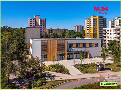 Prodej komerčního prostoru, 900 m² (3 z 30)