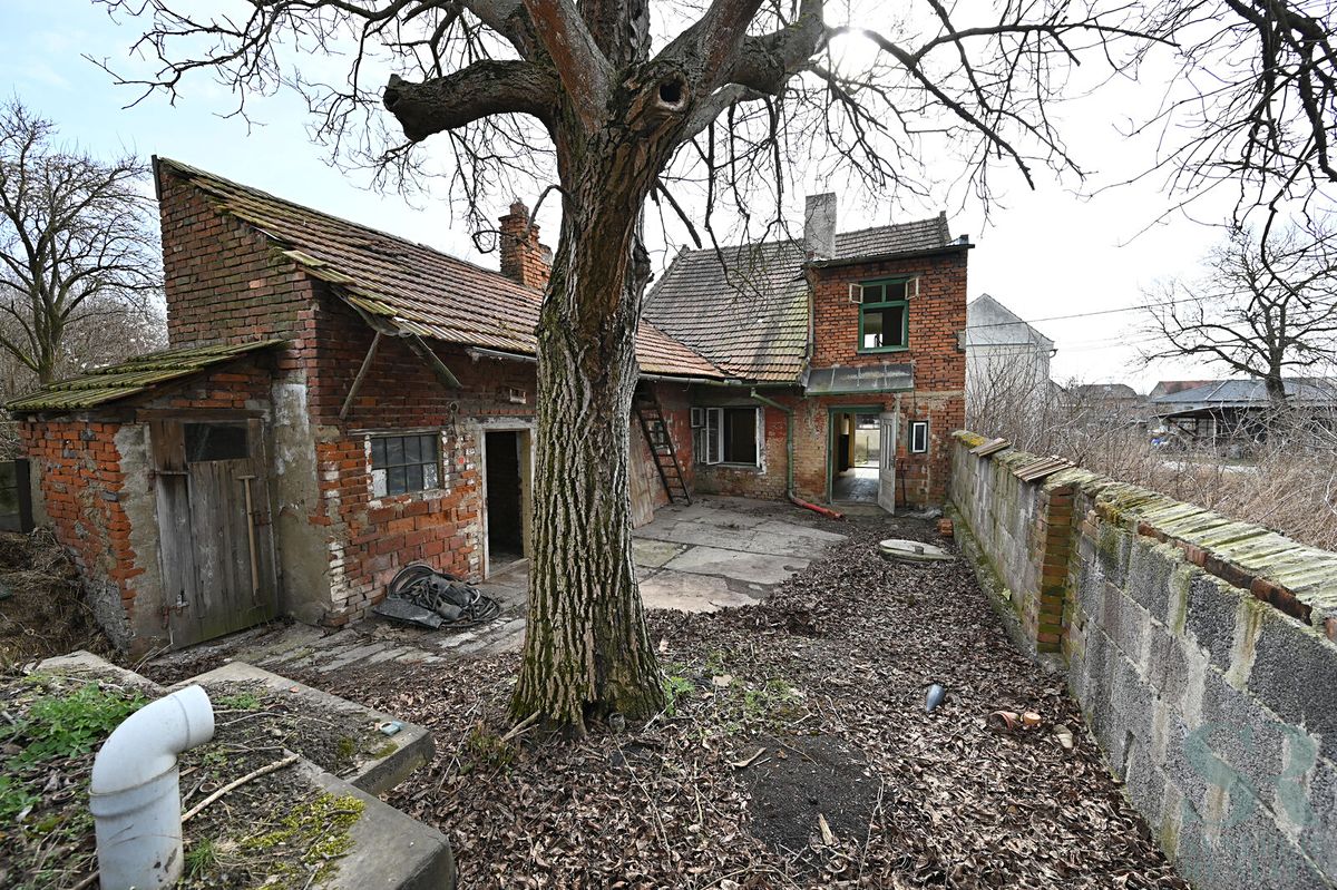 Prodej rodinného domu 95 m², pozemek 213 m² – fotografie 4