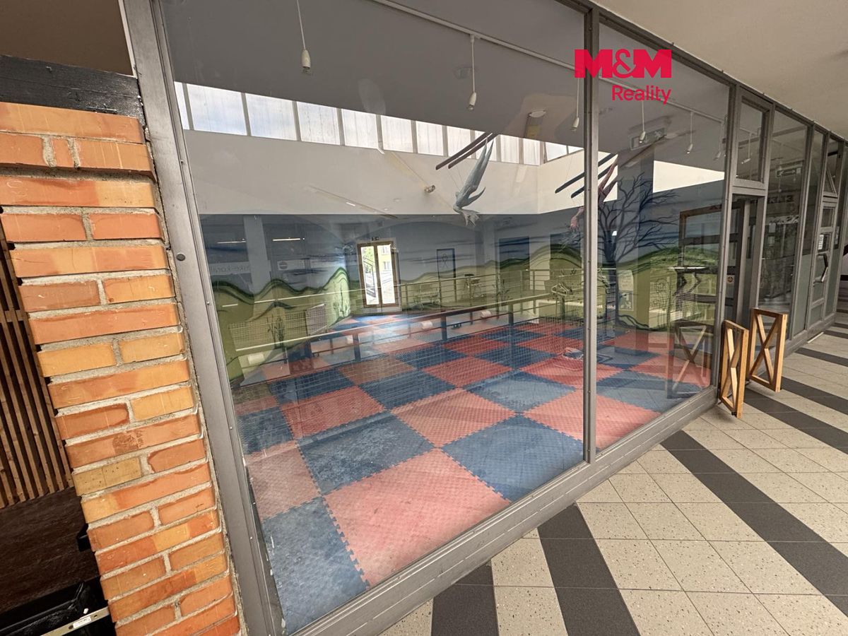 Pronájem obchodního prostoru 47 m²