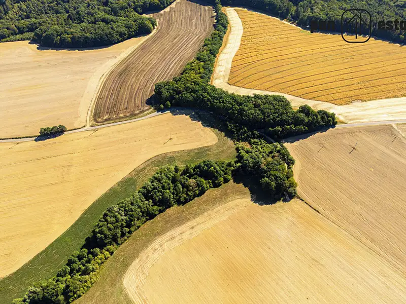 Prodej pole 38057 m², Hvozdná – náhled fotky 1