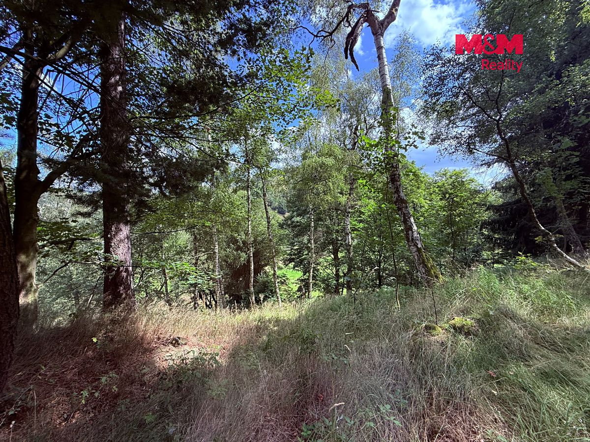 Prodej chaty 32 m², pozemek 32 m² – fotografie 5