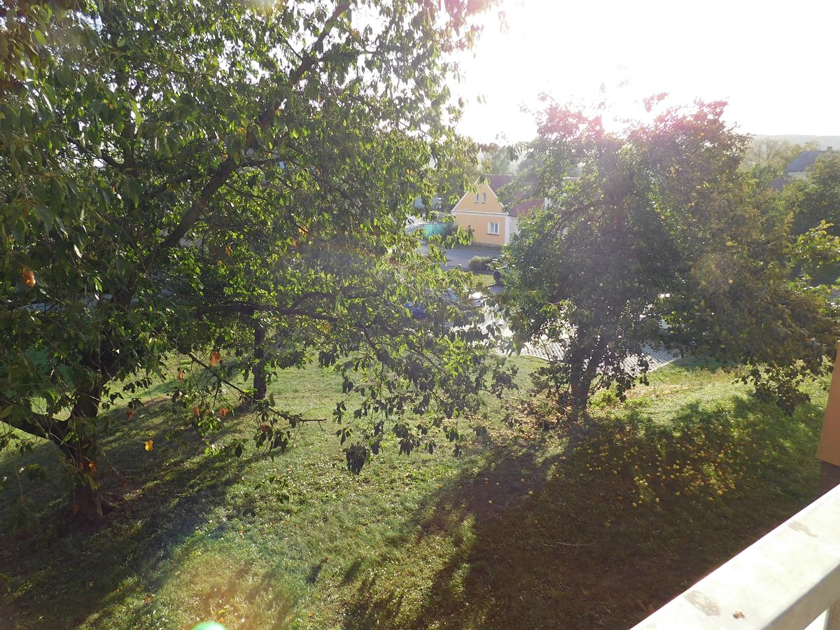 Pronájem bytu 3+1 67 m² – fotografie 5