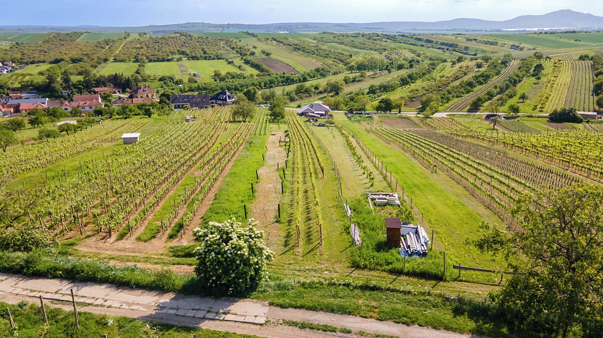 Prodej stavebního pozemku 1528 m² – fotografie 3