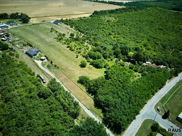 Ostatní