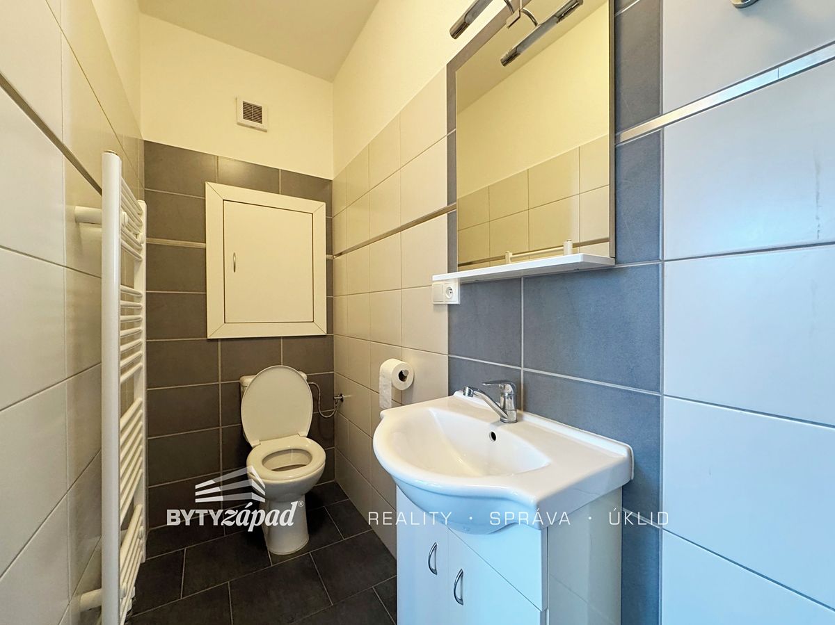 Pronájem bytu 1+kk 19 m² – fotografie 5