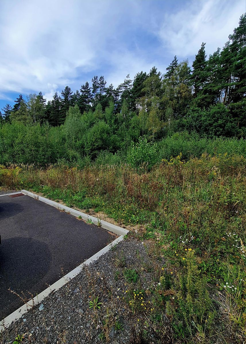 Prodej pozemku 2683 m² – fotografie 5