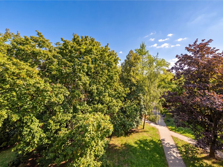 The 2+kk flat for sale, 40 m² (19 of 23)