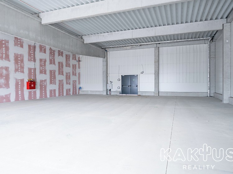 Gewerbefläche zur Miete, 303 m² (5 von 14)