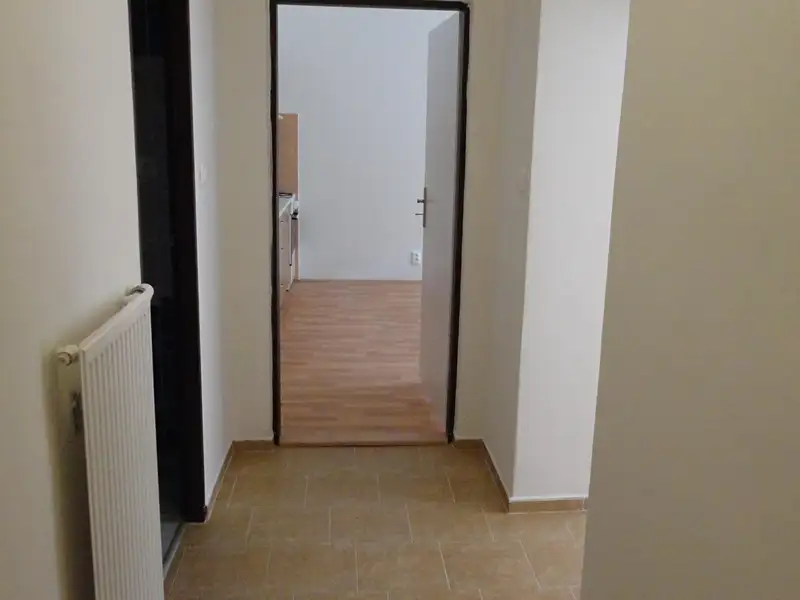 Pronájem bytu 2+kk 70 m², Plzeň – náhled fotky 2