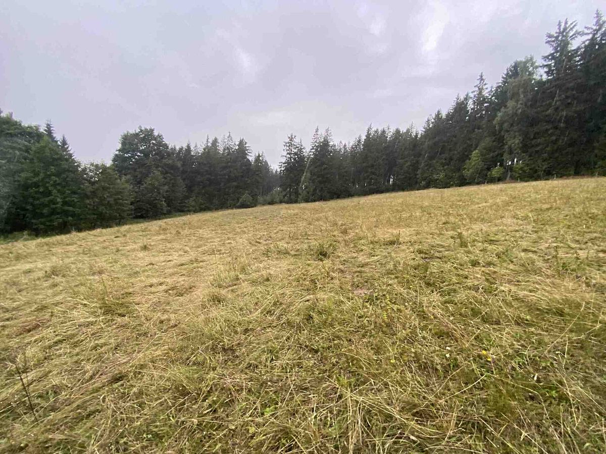 Prodej pozemku 1842 m² – fotografie 2