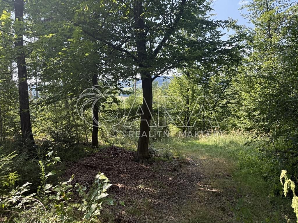 Prodej lesa 17015 m² – fotografie 3