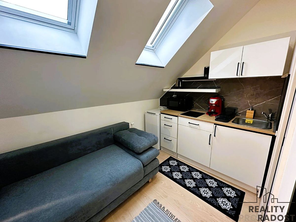 Pronájem bytu 1+kk 19 m² – fotografie 4