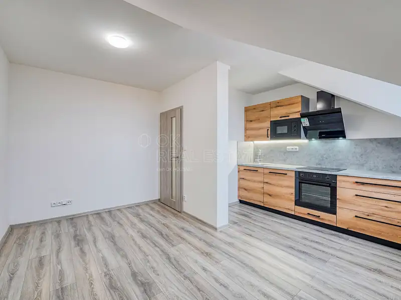 Pronájem bytu 2+kk 50 m², Chotěšov – náhled fotky 1