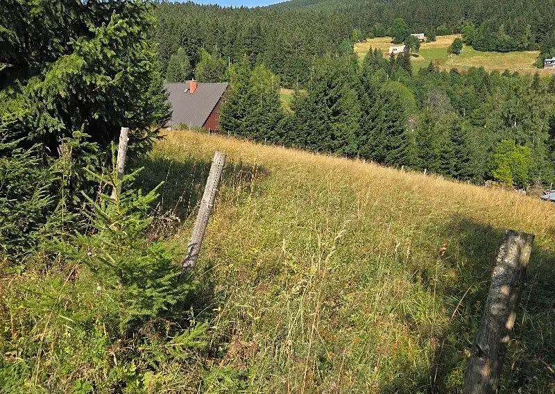 Prodej louky 2445 m², Malá Úpa – náhled fotky 3
