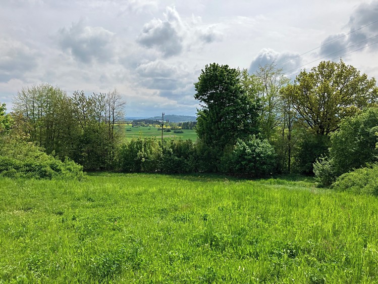 Grundstück zum Kauf, 5.367 m² (4 von 13)