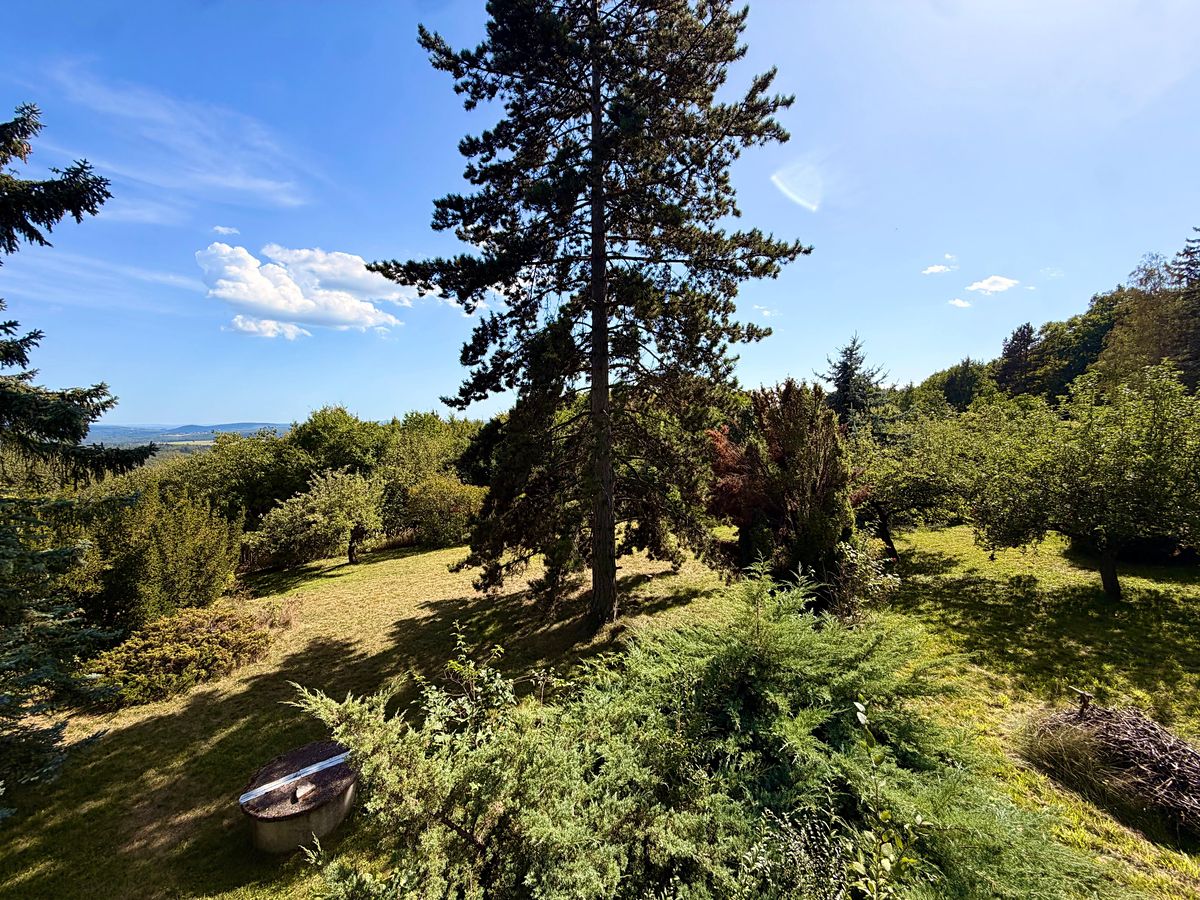 Prodej stavebního pozemku 1510 m² – fotografie 4