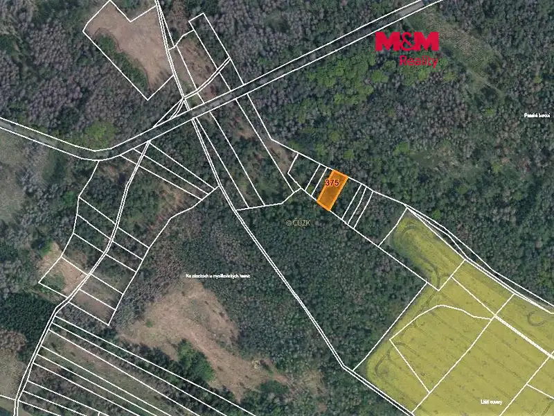 Prodej lesa 942 m², Račice – náhled fotky 1