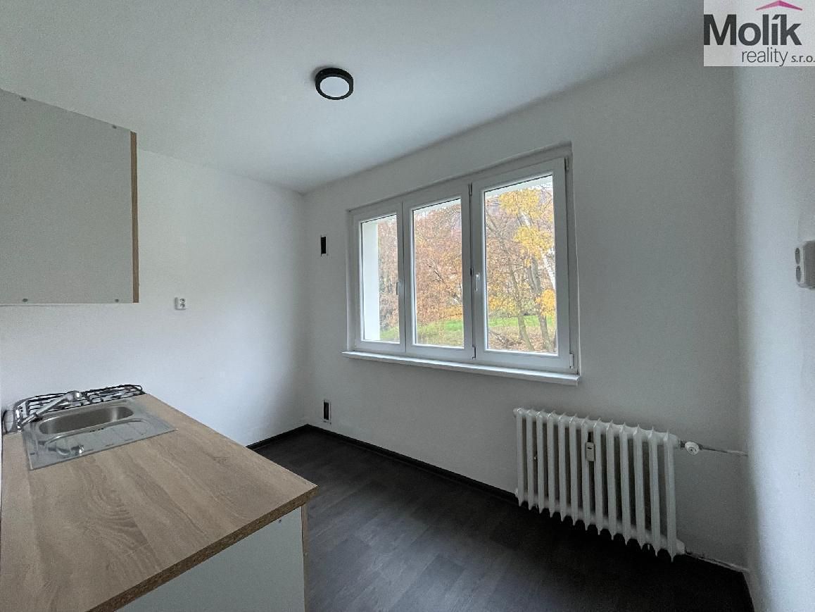 Pronájem bytu 2+1 55 m² – fotografie 3