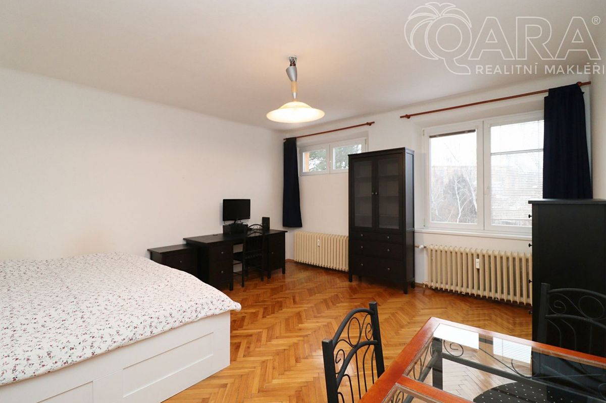 Pronájem bytu 1+1 45 m² – fotografie 3