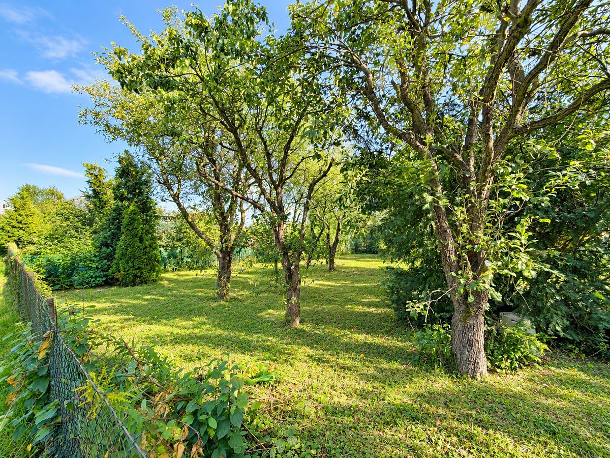 Prodej zahrady 358 m² – fotografie 4