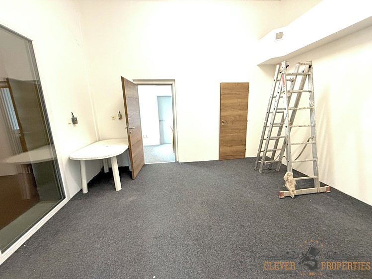 Pronájem komerčního prostoru, 102 m² (6 z 7)