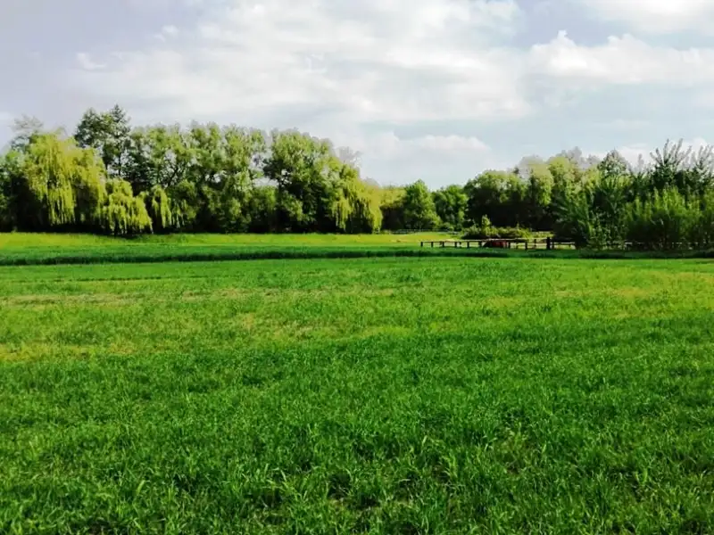 Prodej skladového prostoru 6000 m², Mohelnice – náhled fotky 2
