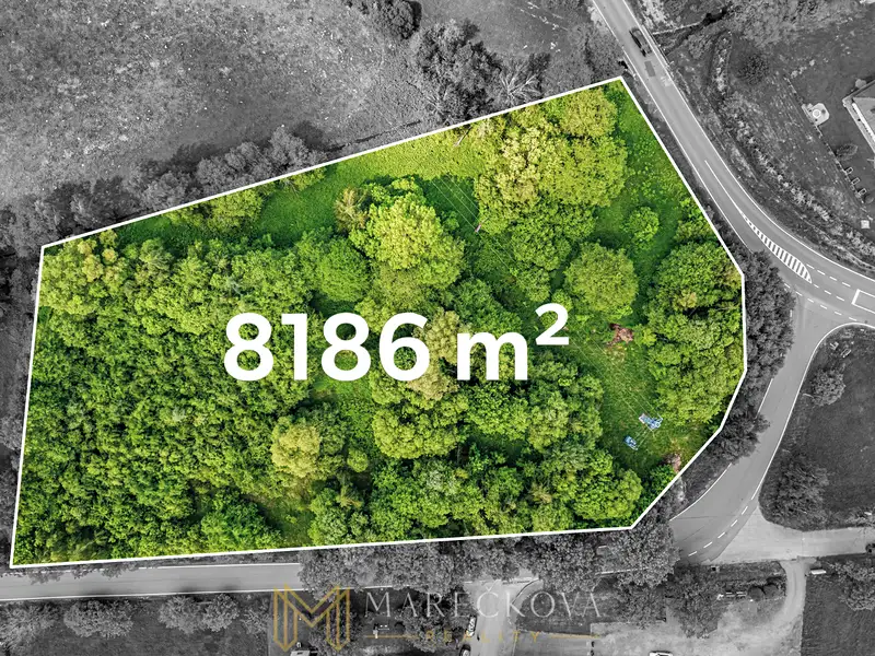 Prodej stavebního pozemku 8186 m², Stachy – náhled fotky 1