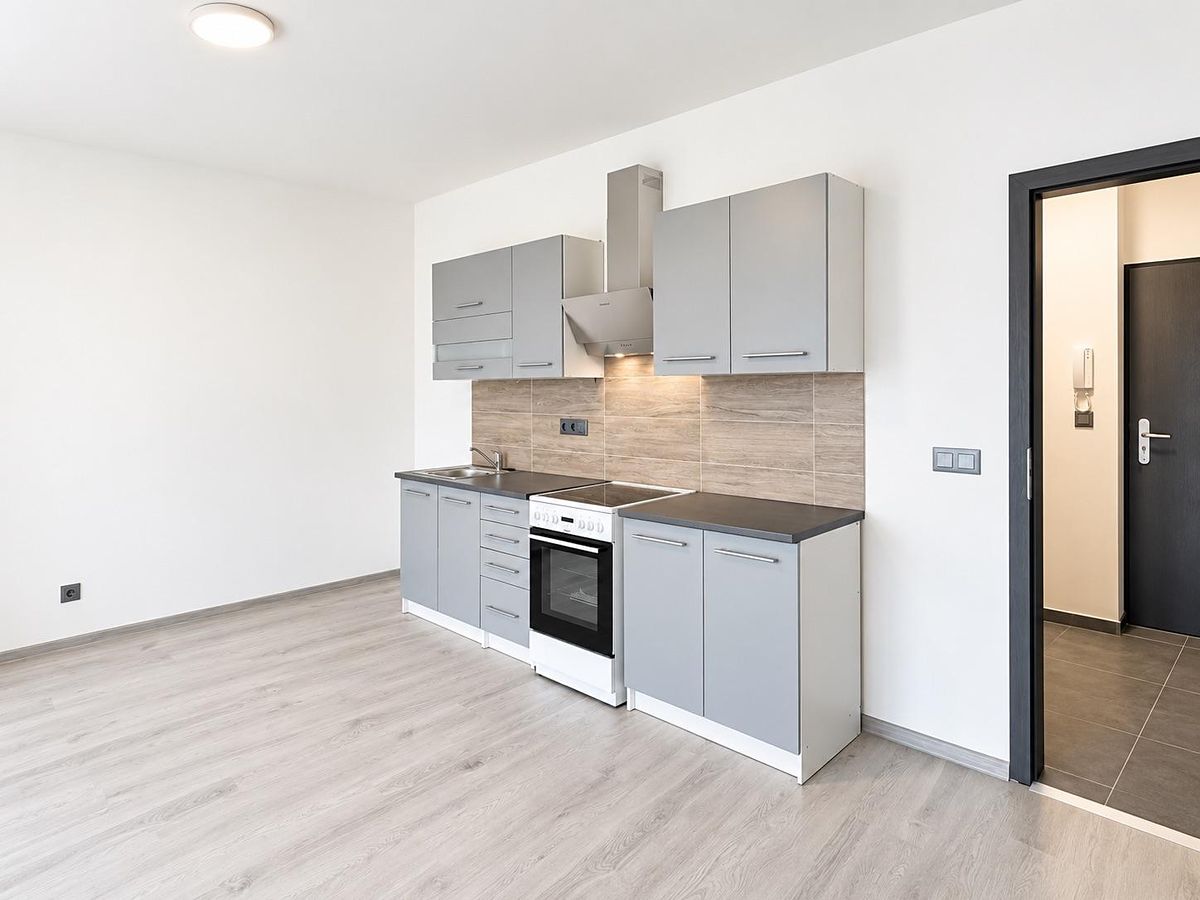 Pronájem bytu 1+kk 58 m² – fotografie 5