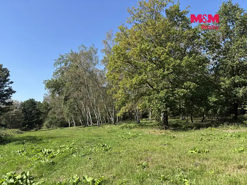 Prodej stavebního pozemku 6184 m², Dubí – náhled fotky 3